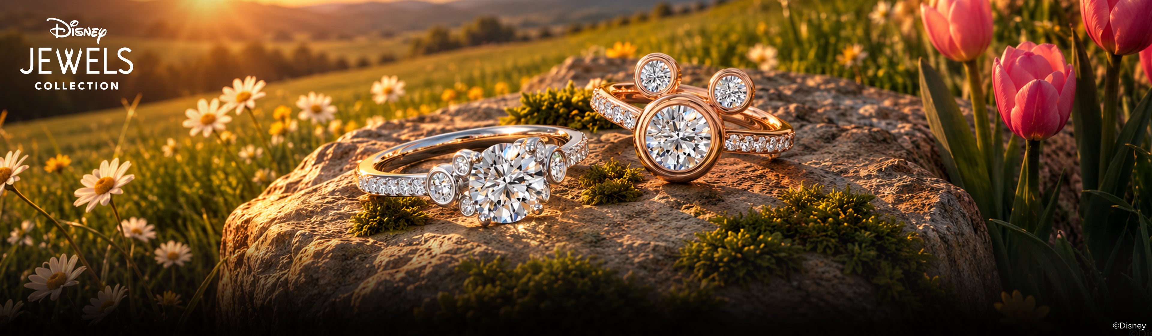 Disney Jewels Diamond Engagement Rings Desktop Banner