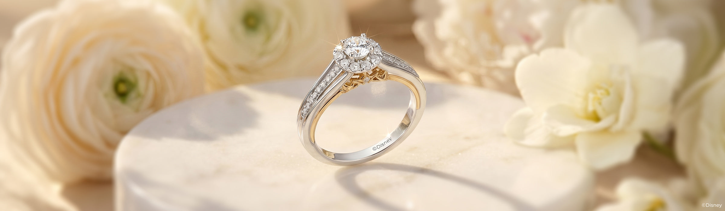 Diamond Engagement Rings between $300 - $500 Desktop Banner