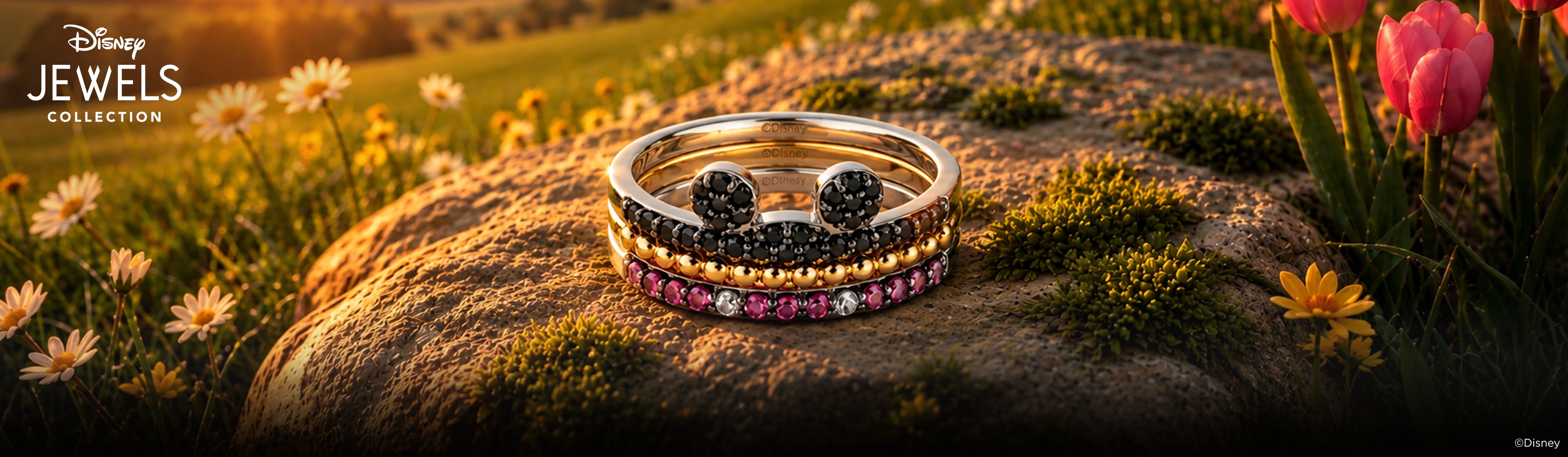Disney Jewels Diamond Rings Desktop Banner