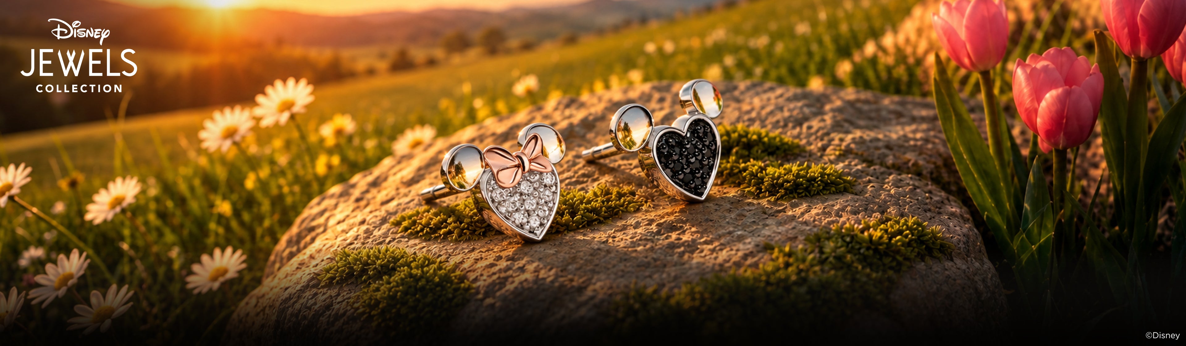 Disney Jewels Diamond Earrings Desktop Banner