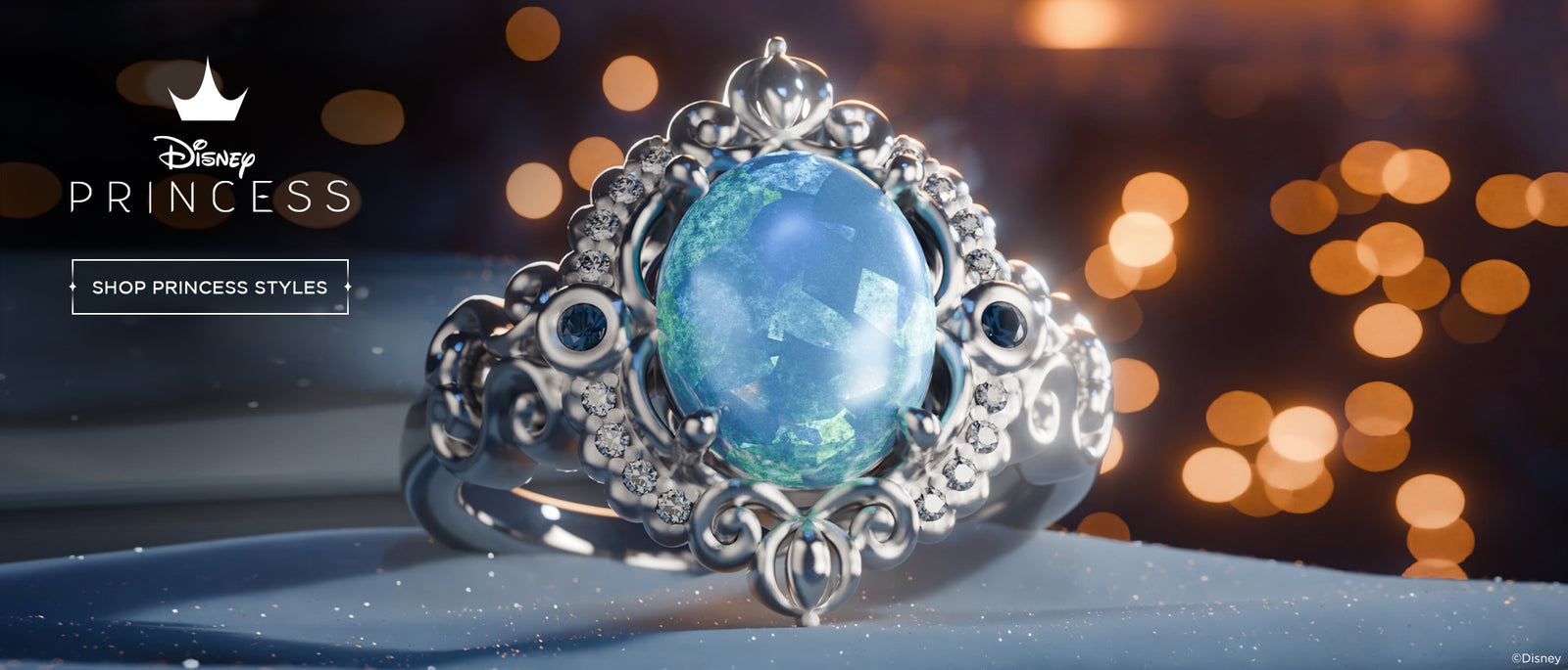 Disney Princess Banner