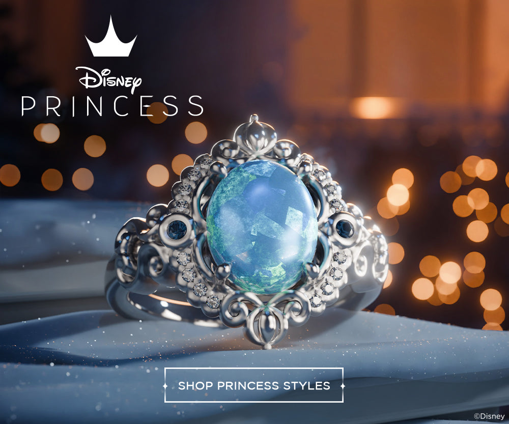 Disney Princess Banner