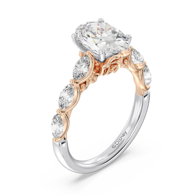 https://cdn.shopify.com/videos/c/o/v/6df84102fff14cf6b3d5dea9bd833e1f.mp4