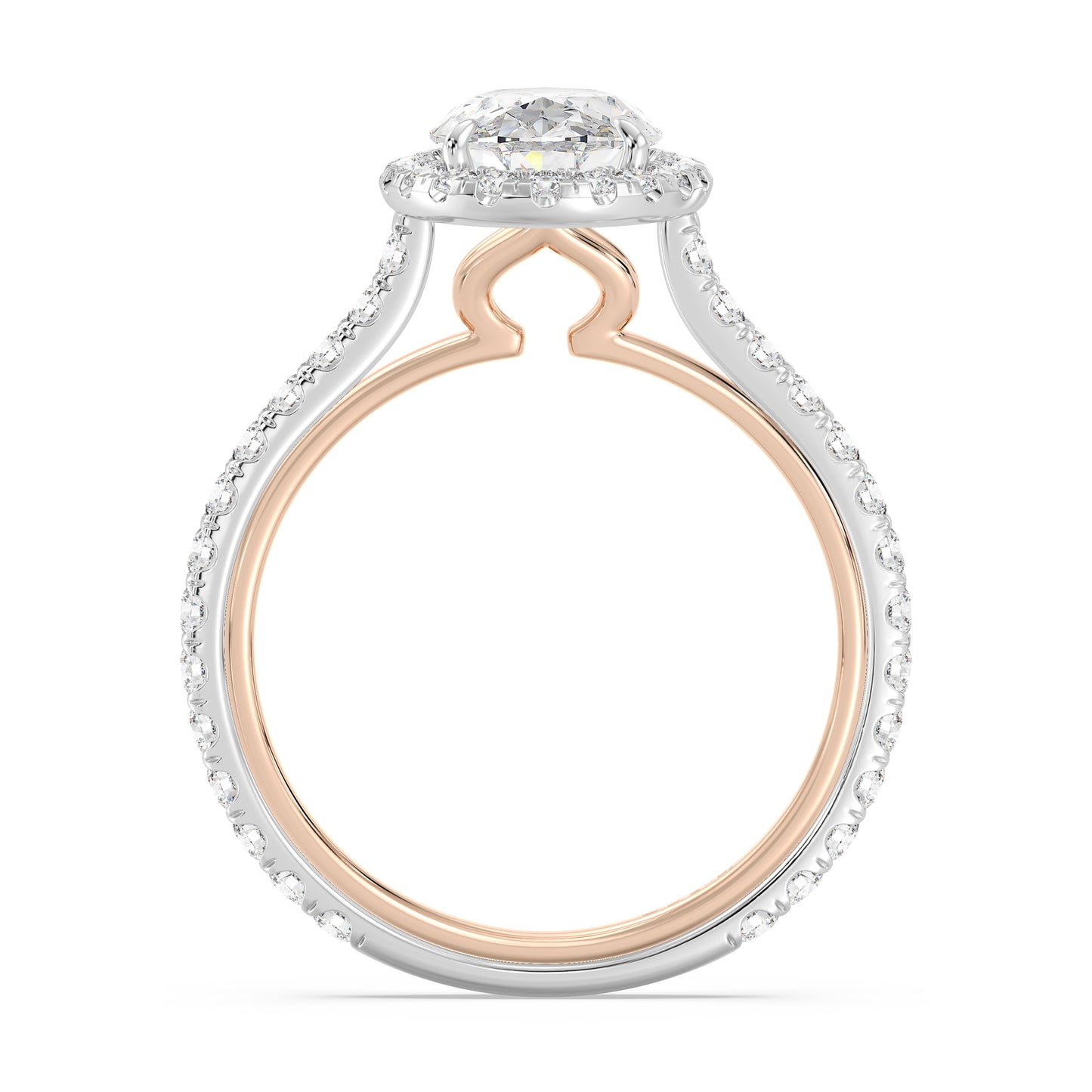Enchanted Star Lab Grown Diamond 14K Gold Jasmine Halo Engagement Ring