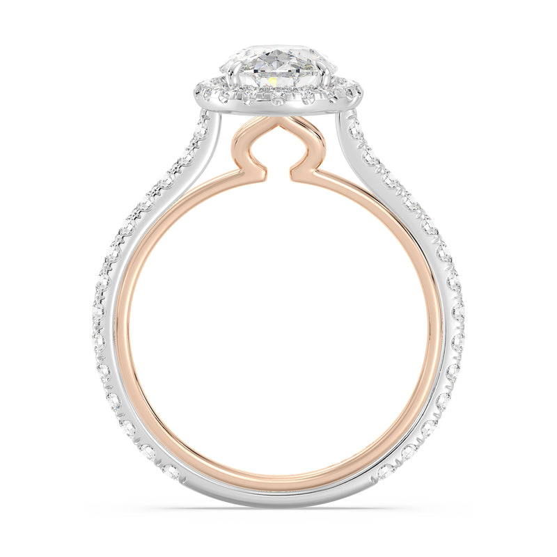 enchanted_disney-jasmine_halo_engagemment_ring_12