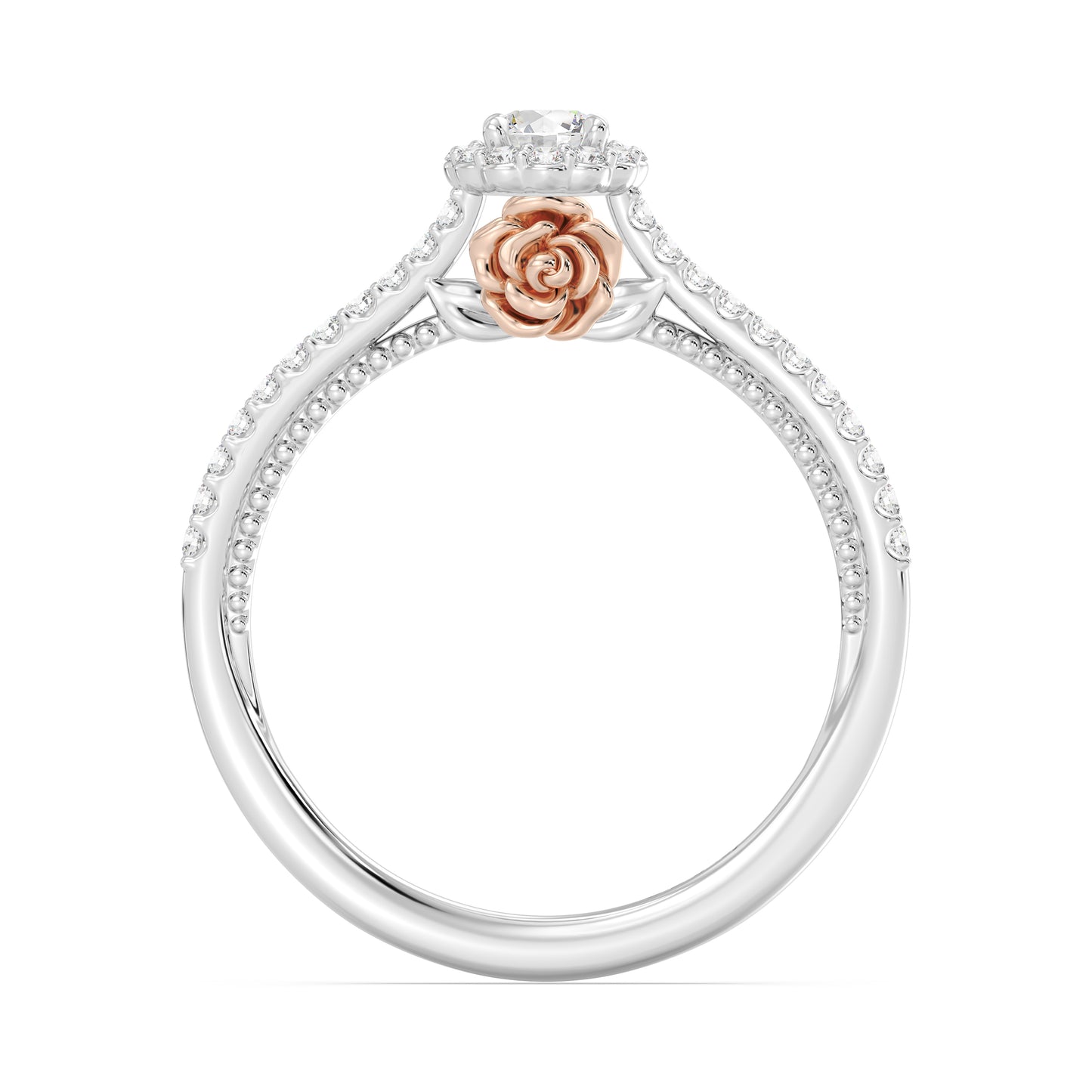 Enchanted Star 14K White and Rose Gold with 3/8 CTTW Lab Grown Diamond, Disney's Belle Promise Ring