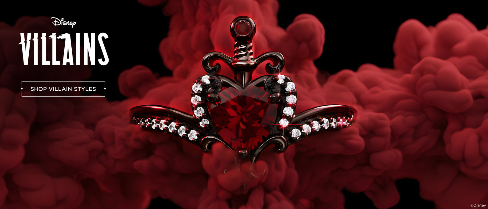 Disney Princess Banner