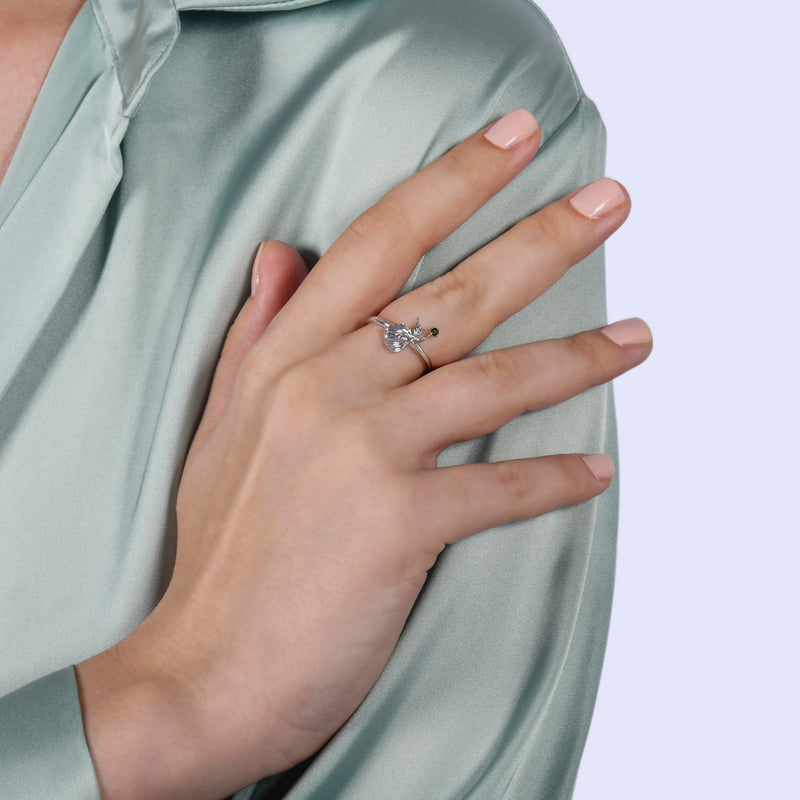 enchanted_disney-aurora_fauna_fairy_ring_2