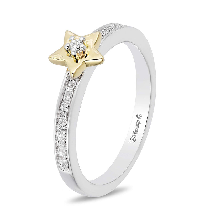 enchanted_disney-tinker-bell_ring_1/10CTTW_4