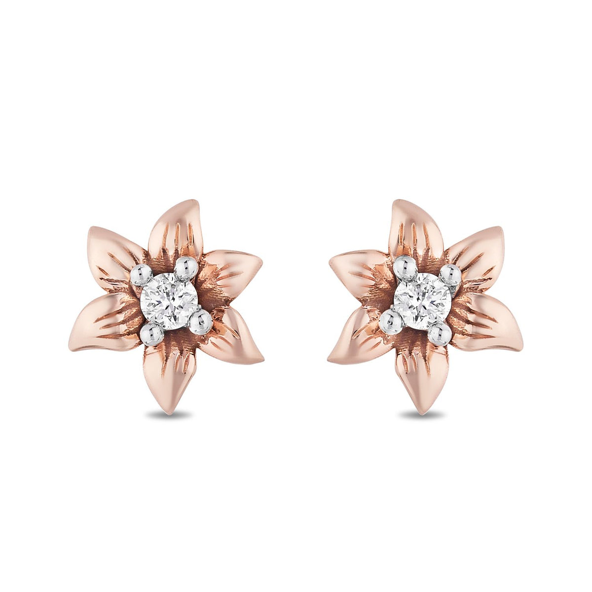 Rose gold online jewelry earrings